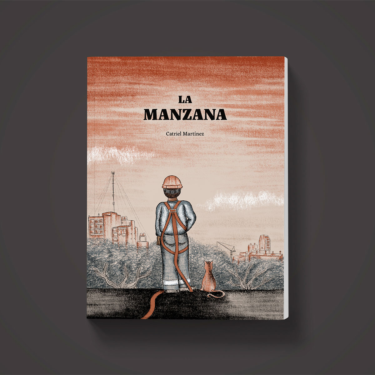 Proyecto La Manzana 