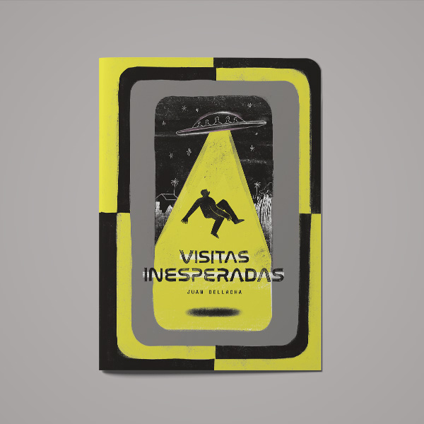 Proyecto Unexpected visitors 